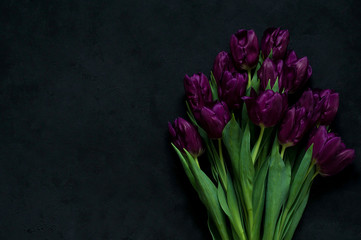 bouquet of tulips on a black background