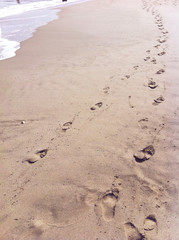 beach footprints and ocean at sunlight