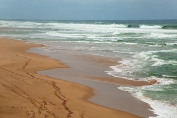 Ocean Beach Waves