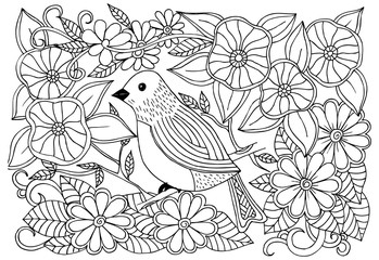 Bird and flowers. Doodle black and white drawing