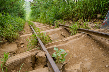 Koko Head Trail