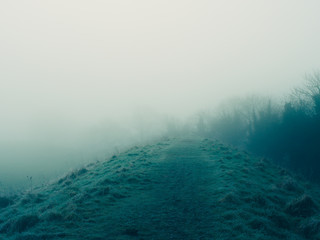 foggy countryside in Northern Ireland