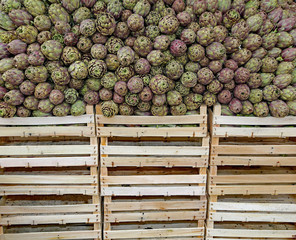 green artichokes and boxes for sale at the grocery store
