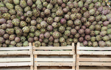 green artichokes and boxes for sale at the grocery store