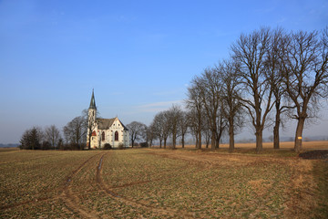 Kościół wśród pól z aleją obsadzoną drzewami. - obrazy, fototapety, plakaty