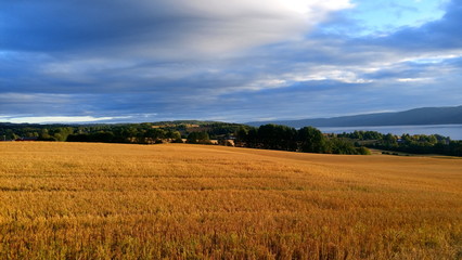 Norwegian countryside