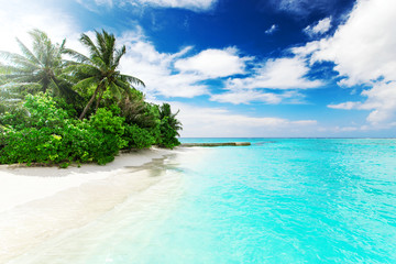 Beautiful nature landscape of tropical island at daytime, Maldives