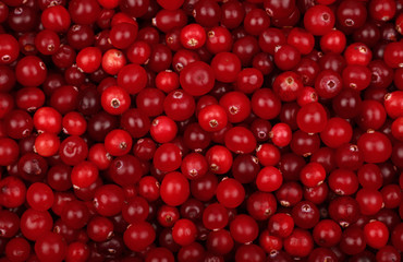 Fresh red ripe cranberries background top view