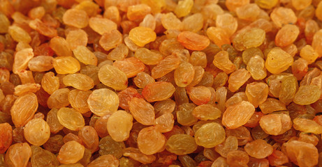 White grape small raisin close up low angle