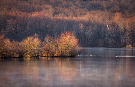 The Middle Creek Morning