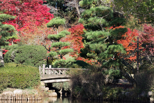 日本庭園