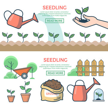 Linear Flat plants ground, sprout hand vector Seedling concept