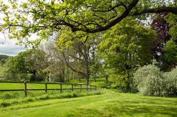Fototapeta na wymiar Summertime landscape in the British countryside of Worcestershire.