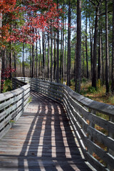 Tarklin Boardwalk