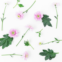 Floral pattern of pink flowers isolated on white background, Flat lay, Top view. Floral background. 