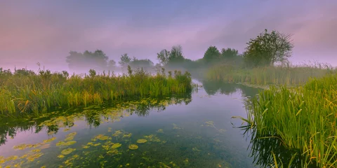 Foto op Canvas Mistige moerassige rivier © creativenature.nl