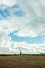 Fototapeta na wymiar Clouds and blue skies in the British countryside.