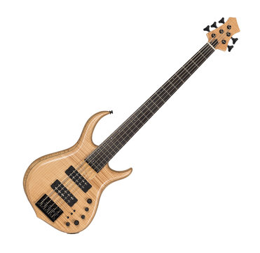 Electric Bass Guitar