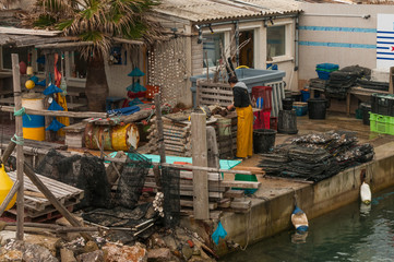2016-12- Leucate-France Fisherman takes oysters