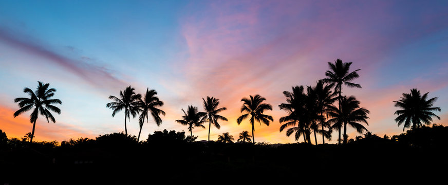 tropical sunrise with palm trees and a colorful sky on the island of maui, hawaii from secret beach