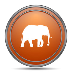 Elephant icon