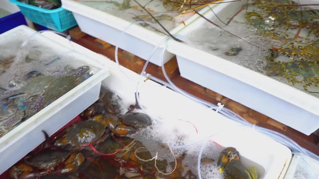 Fresh market Seafood in Thailand