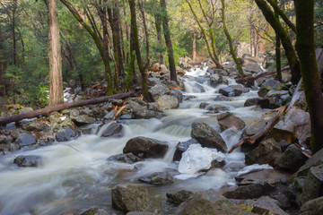 Yosemite Winter