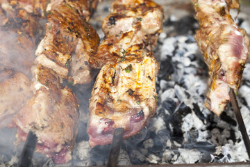 skewers of meat, close-up