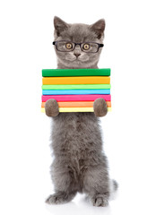 Cat in eyeglasses holding a stack of books. isolated on white 