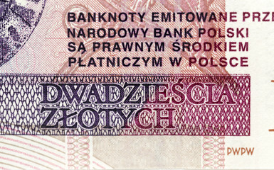 twenty zloty close up