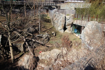 Panda High view