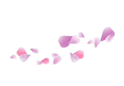 Pink Purple flying petals isolated on white. Sakura petals. Vector 