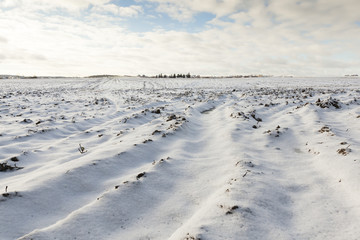 Fototapeta na wymiar plowed field under snow