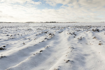 plowed field under snow
