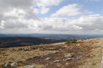 Ausblick