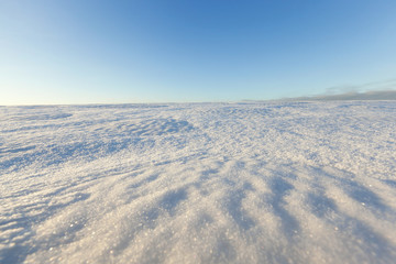 winter landscape, a field