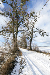 snowy road, winter