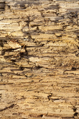 old wooden surface