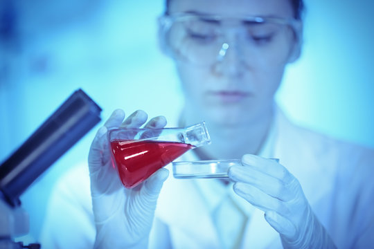 Scientist pouring sample into a Petri dish in laboratory