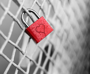 Valentine heart padlock attached to wire mesh fence