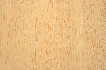 Laminated veneer lumber texture, Birch hardwood, Betula