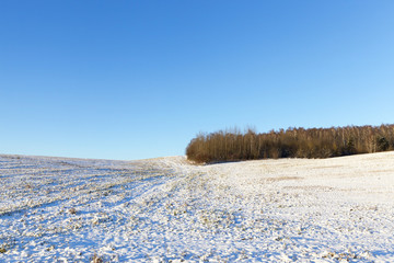 landscape in winter