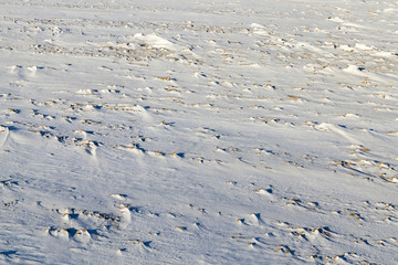 land covered with snow