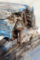 old rusty screw