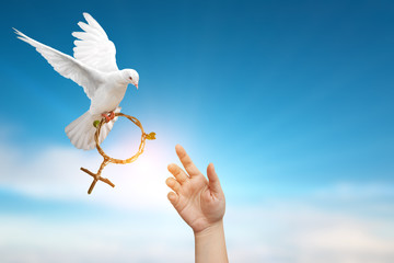 Two helping hand desire to dove holding branch in Venus symbol shape flying on blue sky for...