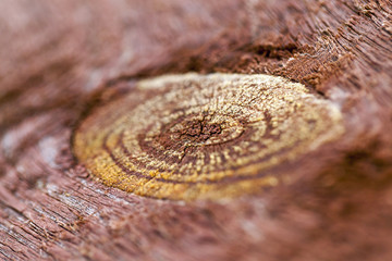 split the old tree