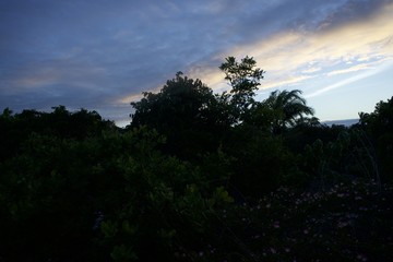 Digital Archival of Institute Valei - Environmental Protection Area of the Tinharé and Boipeba Islands, in the State of Bahia Brazil