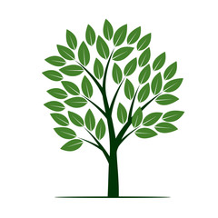 Green Tree with Leafs. Vector Illustration.