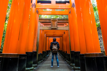 A walking path leads through a tunnel of torii gates at Fushimi Inari Shrine,An important Shinto shrine in southern Kyoto. It is famous for its thousands of vermilion torii gate