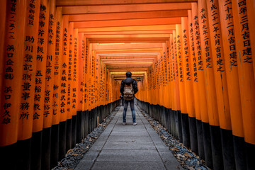 A walking path leads through a tunnel of torii gates at Fushimi Inari Shrine,An important Shinto shrine in southern Kyoto. It is famous for its thousands of vermilion torii gate - obrazy, fototapety, plakaty